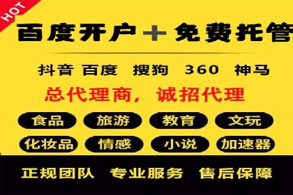 某某SEM团队成功提升网站流量与转化率的实战经验